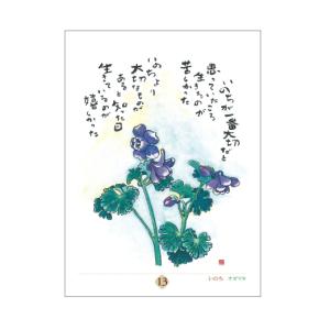 星野富弘 31枚の詩画 日めくり どうしても必...の詳細画像2