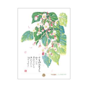 星野富弘 31枚の詩画 日めくり どうしても必...の詳細画像3