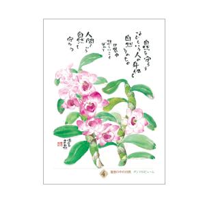 星野富弘 31枚の詩画 日めくり どうしても必...の詳細画像4