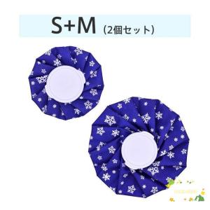 氷嚢 スポーツ アイスバッグ 氷のう アイシン...の詳細画像1