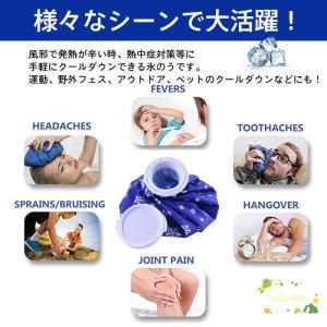 氷嚢 スポーツ アイスバッグ 氷のう アイシン...の詳細画像2