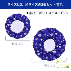 氷嚢 スポーツ アイスバッグ 氷のう アイシン...の詳細画像3
