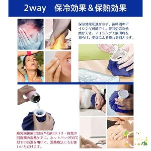 氷嚢 スポーツ アイスバッグ 氷のう アイシン...の詳細画像4