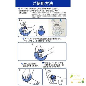 氷嚢 スポーツ アイスバッグ 氷のう アイシン...の詳細画像5