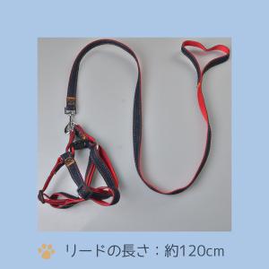 犬 ハーネス リード 小型犬 中型犬 おしゃれ...の詳細画像2