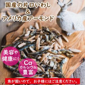 ナッツ アーモンドフィッシュ 100g (10...の詳細画像4