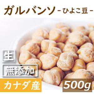 ナッツ ガルバンソ (ひよこ豆) 生 500g ちくぴー豆 ポイント消化 グルメ｜omamesan