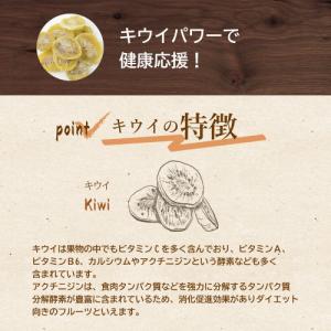 ドライフルーツ ドライキウイ 1kg 無着色 ...の詳細画像2