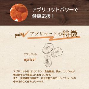 ドライフルーツ あんず (アプリコット) 南ア...の詳細画像3