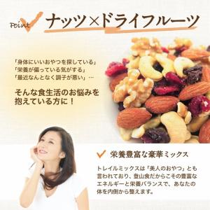【ギフトボックス入】ミックスナッツ ナッツ 小...の詳細画像4