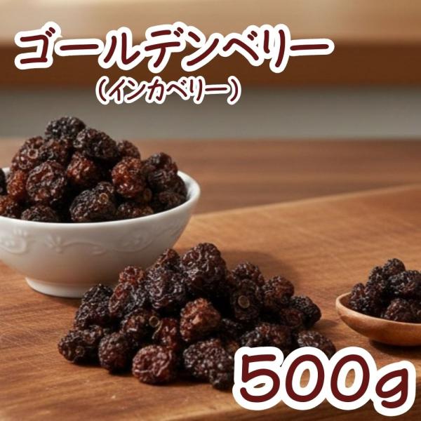 ゴールデンベリー（インカベリー）500g コロンビア産  保存剤無添加 ドライフルーツ   食用ほお...