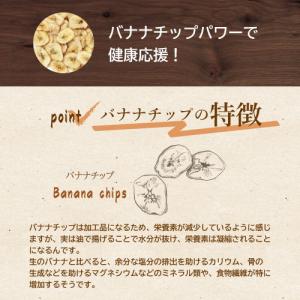 ボリュームパック バナナチップ 500g ポイ...の詳細画像2