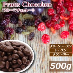 フルーツチョコレート 500g チョコ ドライフルーツ グルメ