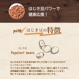 はじき豆 1kg 煎りそら豆 ポイント消化 便...の詳細画像5