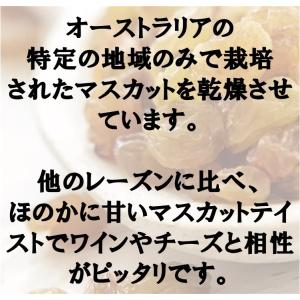 ドライフルーツ サンマスカットレーズン お試し...の詳細画像2