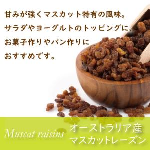 ドライフルーツ サンマスカットレーズン お試し...の詳細画像1