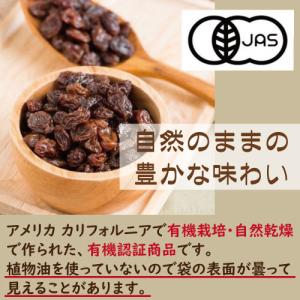 ドライフルーツ 有機JAS オーガニック レー...の詳細画像1