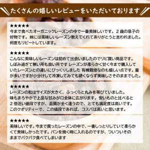 ドライフルーツ 有機JAS オーガニック レー...の詳細画像2