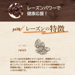 ドライフルーツ 有機JAS オーガニック レー...の詳細画像3