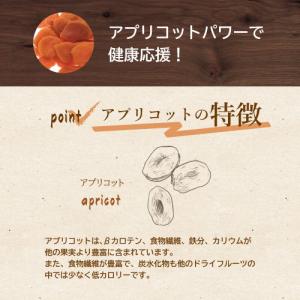 ドライフルーツ あんず (アプリコット) 南ア...の詳細画像3
