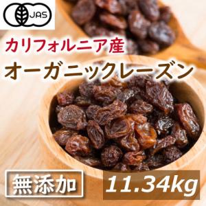 レーズン【有機JAS】オーガニックレーズン 11.34kg 無添加 れーずん 業務用 ノンオイル 有機レーズン グルメ みのや送料無料