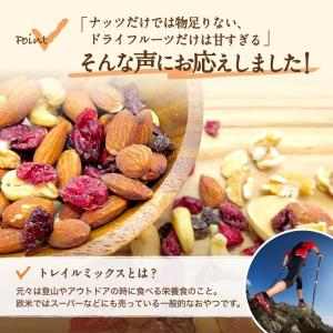 ドライフルーツミックス トレイルミックス 30...の詳細画像3
