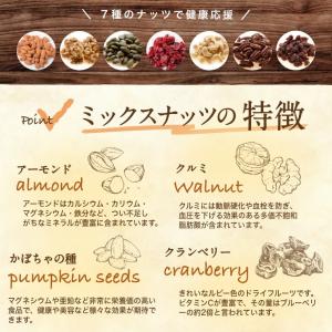 ドライフルーツミックス トレイルミックス 30...の詳細画像5