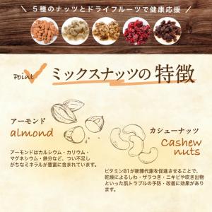【2個で500円OFFクーポン有】 ドライフル...の詳細画像5