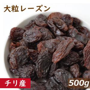 【期間限定値下げ中！】レーズン 大粒 チリ産 500ｇ オイルコート グルメ みのや　1kgの半分