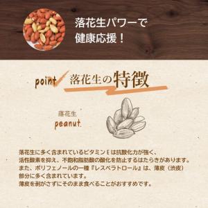 ナッツ 落花生 素煎り千葉産落花生 100g ...の詳細画像2