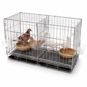 CAGE ONE 大型鳥かご スクエア型 バードケージ 41×60×42cm : まつ
