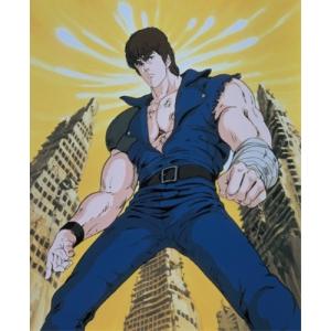 「北斗の拳」25周年記念 DVD-BOX~TVシ...の商品画像