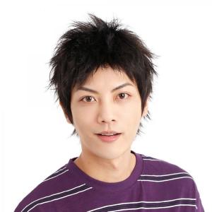 ウィッグ メンズ ショート 短め かっこいい おしゃれ