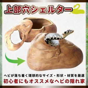 蛇 ヘビ シェルター 隠れ家 ロックシェルター...の詳細画像2