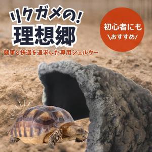 爬虫類 リクガメ シェルター 大型 亀 ロック...の詳細画像1