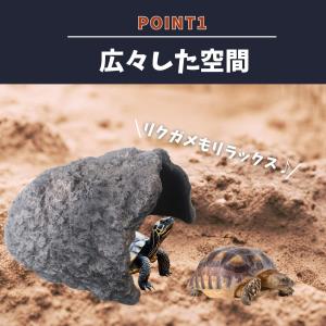 爬虫類 リクガメ シェルター 大型 亀 ロック...の詳細画像2