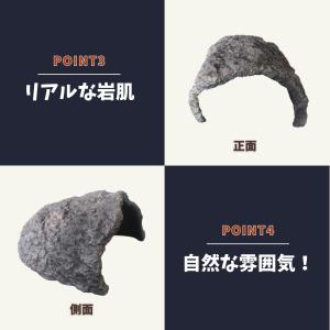 爬虫類 リクガメ シェルター 大型 亀 ロック...の詳細画像4