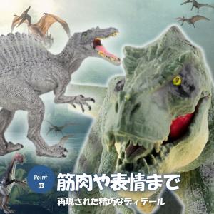 ティラノサウルス スピノサウルス 恐竜 おもち...の詳細画像4