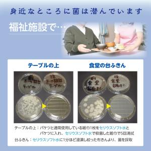 セリウスソフト水500ml(次亜塩素酸水) 2...の詳細画像3