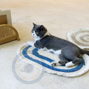 犬 爪とぎ マットの商品一覧 通販 Yahoo ショッピング