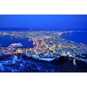 マグネット　観光おみやげ（函館夜景・北海道）