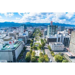 マグネット　観光おみやげ（札幌大通公園・北海道）