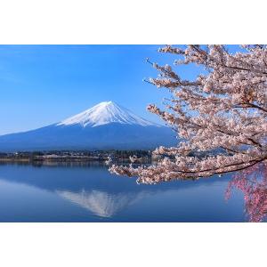マグネット 観光おみやげ(富士山・河口湖と桜)の商品画像