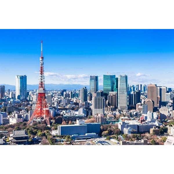 マグネット　観光おみやげ（東京タワー）