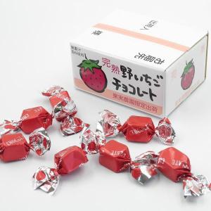 小箱チョコレート いちご味 15個入 野イチゴ  苺 イチゴ ご当地 お土産 お菓子 洋菓子 スイーツ チョコ 絶品 贈答品 ギフト バレンタイン 可愛い お取り寄せ｜お土産ショップ永井園