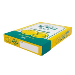関東栃木レモンカレー 200g 栃木限定 レモ...の詳細画像2