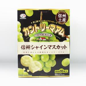 欧風焼菓子 雷鳥の里25個入 田中屋（信州長野のお土産 お菓子 洋菓子