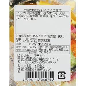 (送料込)いろいろ野菜90g×6個(お土産 お...の詳細画像4