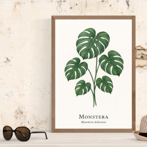 北欧 植物 モンステラ ポスター アート インテリア パネル キャンパス イラスト 抽象画
