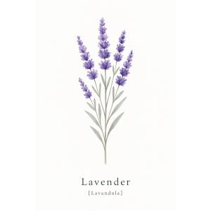 北欧 植物 ラベンダー ポスター アート イン...の詳細画像5